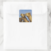 Drie kamelen, kameelmarkt, Caïro, Egypte Vierkante Sticker (Tas)