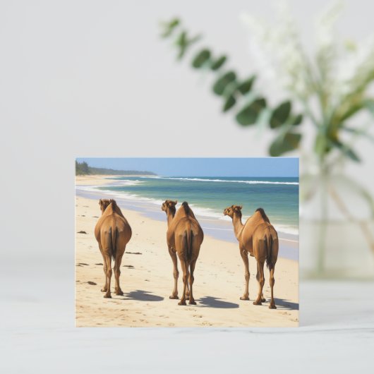 Drie kamelen op het strand in Mombasa, Kenia Briefkaart (Staand voorkant)