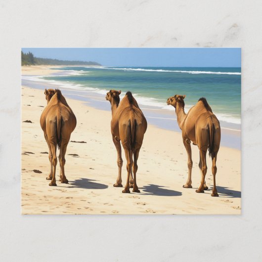 Drie kamelen op het strand in Mombasa, Kenia Briefkaart (Voorkant)