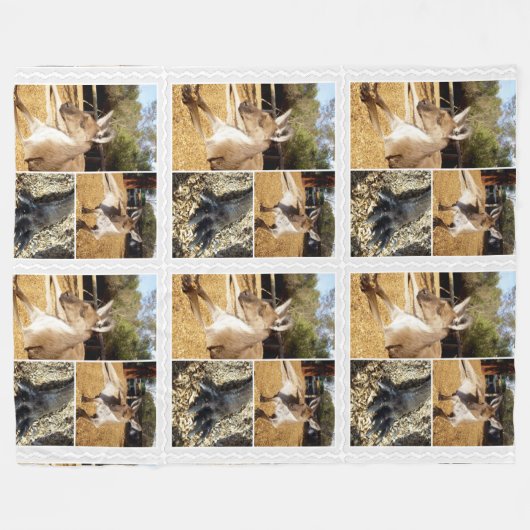 Drie Kangaroo Afbeeldingen collage, Lge Fleece Bla (Voorkant (Horizontaal))