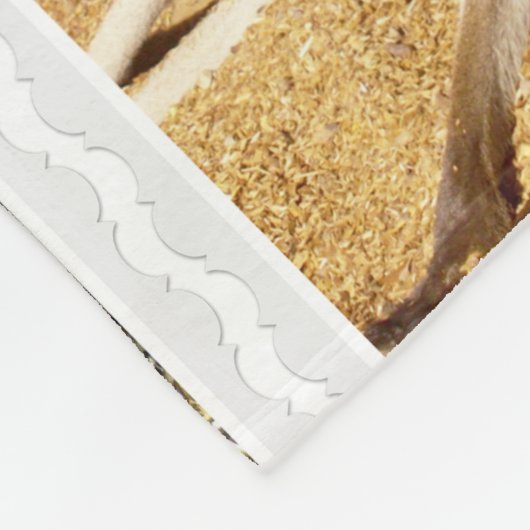 Drie Kangaroo Afbeeldingen collage, Lge Fleece Bla (Hoek)