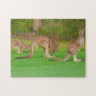 drie kangoeroes legpuzzel