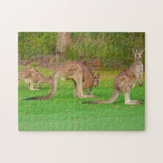 drie kangoeroes legpuzzel