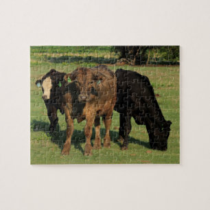 Drie Kansas-Koeien in een puin Legpuzzel