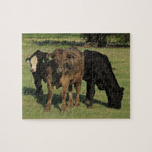 Drie Kansas-Koeien in een puin Legpuzzel (Horizontaal)