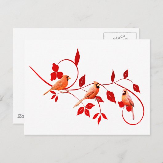 Drie Kardinalen Briefkaart (Voorkant / Achterkant)