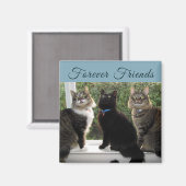 Drie Kat Vrienden in de Magnet van het Venster (Voorkant / Achterkant)