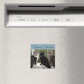 Drie Kat Vrienden in de Magnet van het Venster (Insitu (Vaatwasser))