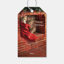 Drie katjes in een Kerstmis Sock Gift Tag