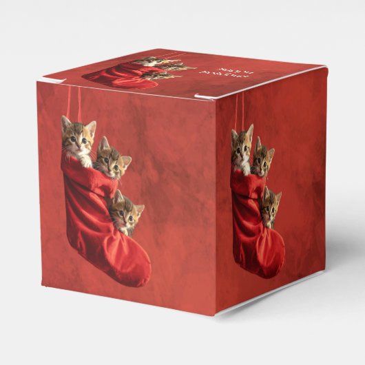 Drie katjes in een Kerstsok Bedankdoosjes (Voorkant Zijde)
