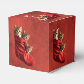 Drie katjes in een Kerstsok Bedankdoosjes (Achterkant)