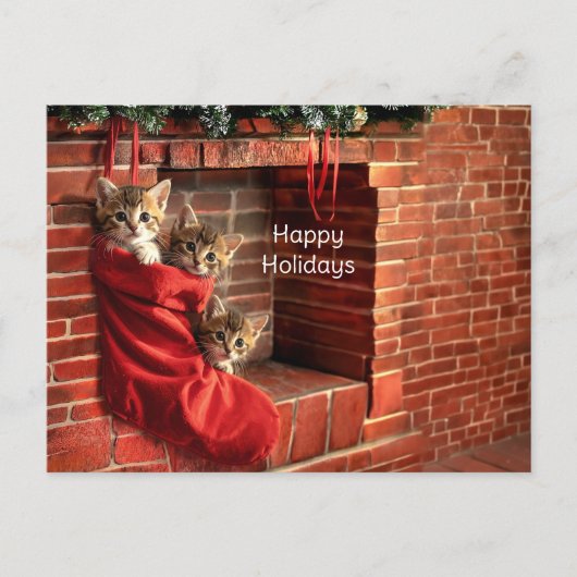 Drie katjes in een Kerstsok Briefkaart (Voorkant)