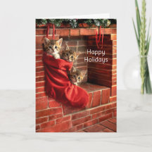 Drie katjes in een Kerstsok Kerstfeest