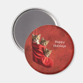 Drie katjes in een Kerstsok Magnet (Voorkant / Achterkant)