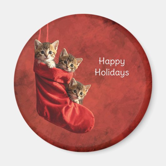 Drie katjes in een Kerstsok Magnet (Voorkant)