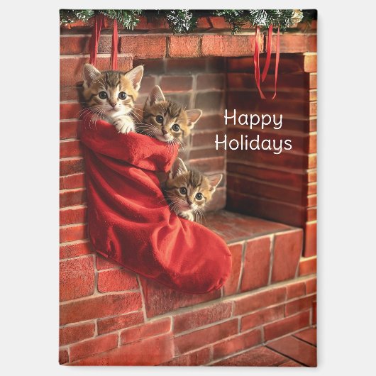 Drie katjes in een Kerstsok Magnet (Voorkant)