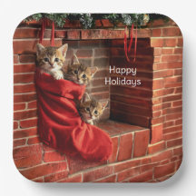 Drie katjes in een Kerstsok Papieren Bord