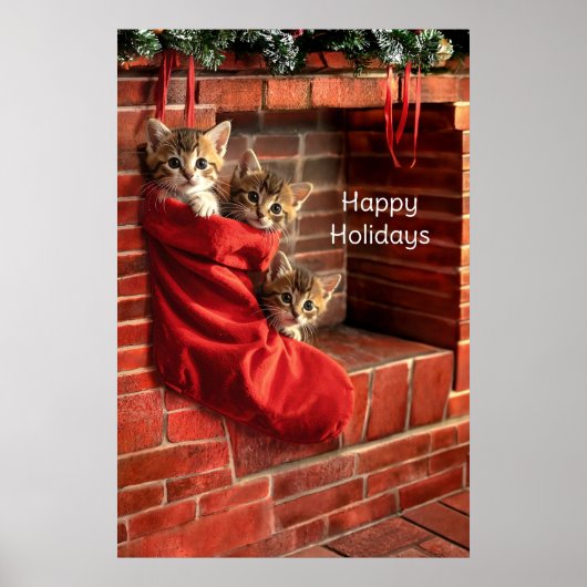 Drie katjes in een Kerstsok Poster (Voorkant)