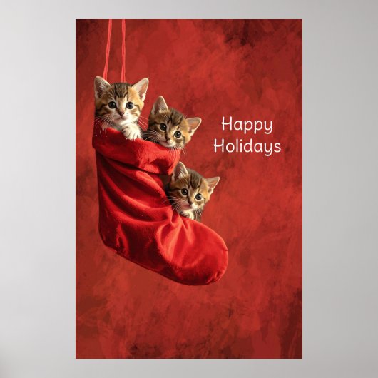 Drie katjes in een Kerstsok Poster (Voorkant)