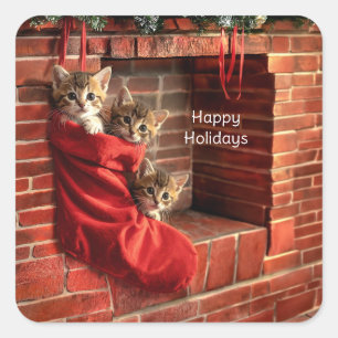 Drie katjes in een Kerstsok Stickers