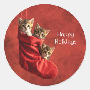 Drie katjes in een Kerstsok Stickers