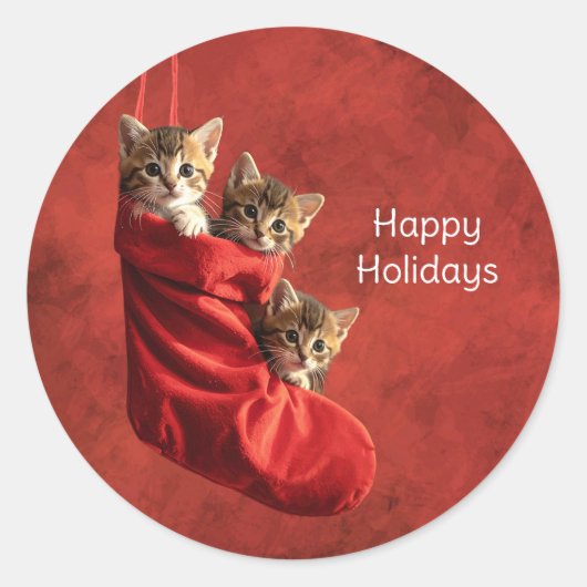 Drie katjes in een Kerstsok Stickers (Voorkant)