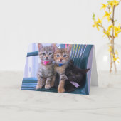 Drie katjes kaart (Gele Bloem)