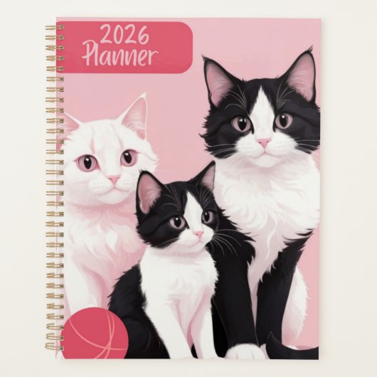 Drie Katten 2026 Planner (Voorkant)