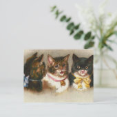 "Drie katten" Briefkaart (Staand voorkant)