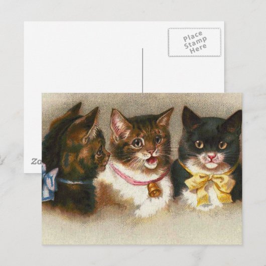 "Drie  katten" Briefkaart (Voorkant / Achterkant)