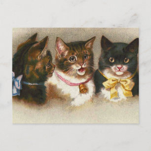"Drie  katten" Briefkaart