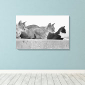Drie katten canvas afdruk (Insitu (Houten vloer))