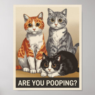 drie katten & een vraag Poep je? Grappige kat Poster