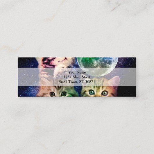 Drie katten en de maan mini visitekaartje (Voorkant)