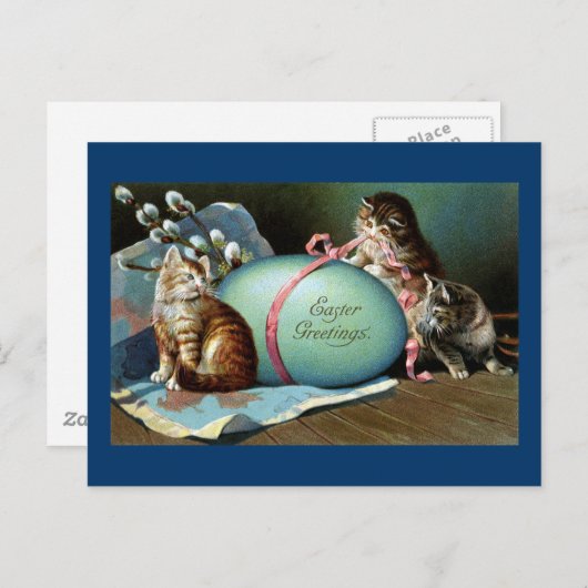 Drie katten en een groot blauw paasei feestdagenkaart (Voorkant / Achterkant)