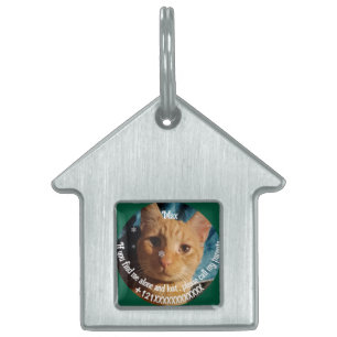 Drie katten foto's, gepersonaliseerde kerst huisdieren naamplaatje