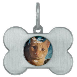 Drie katten foto's, gepersonaliseerde kerst huisdieren naamplaatje