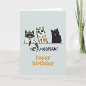 Drie Katten Hey Hooman Grappige Verjaardag Kaart (Voorkant)