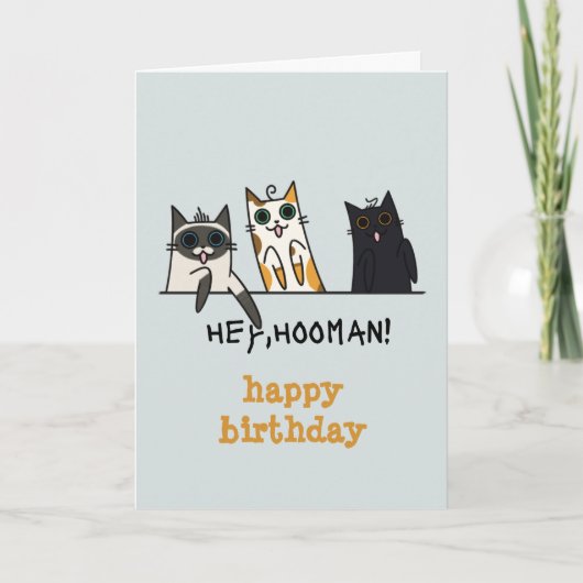 Drie Katten Hey Hooman Grappige Verjaardag Kaart (Voorkant)