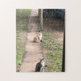 Drie Katten Jigzaag Puzzle Legpuzzel