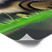 Drie Katten met een Houding Poster (Hoek)