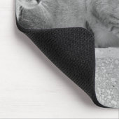 Drie katten muismat (Hoek)