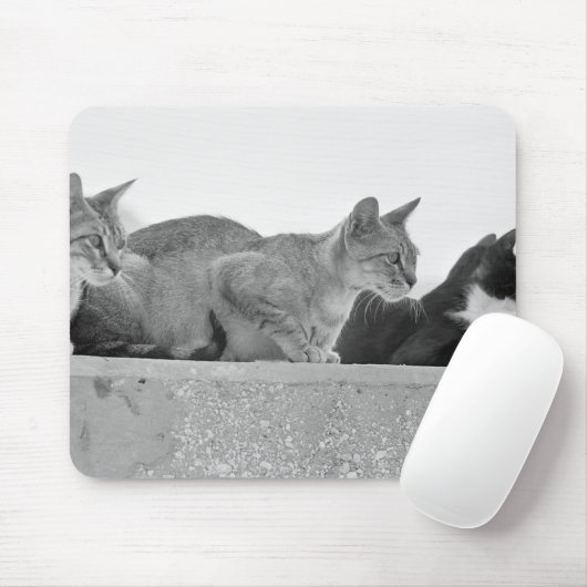 Drie katten muismat (Met muis)