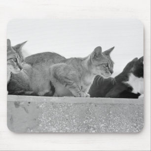 Drie katten muismat