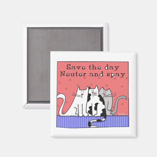 Drie Katten Neuter en Spay Magneet (Voorkant / Achterkant)