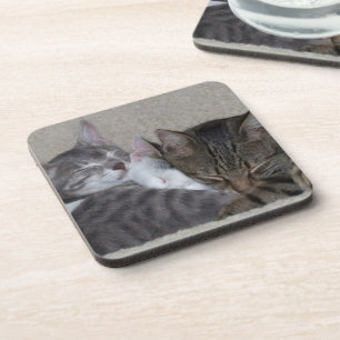 Drie katten Onderzetters