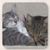 Drie katten Onderzetters (Voorkant)