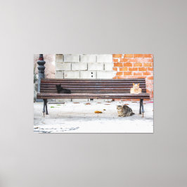 Drie katten op een bankje canvas afdruk