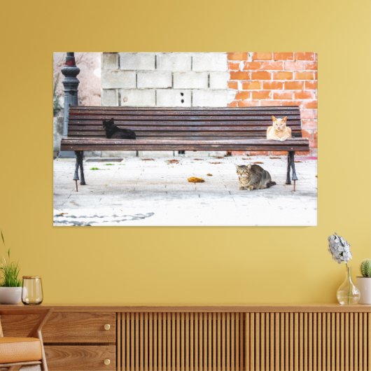 Drie katten op een bankje canvas afdruk (Insitu (Woonkamer))