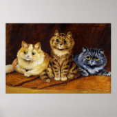 Drie Katten op een Perzisch Rug van Louis Wain Poster (Voorkant)